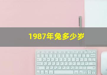 1987年兔多少岁