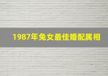 1987年兔女最佳婚配属相