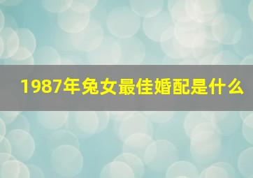 1987年兔女最佳婚配是什么