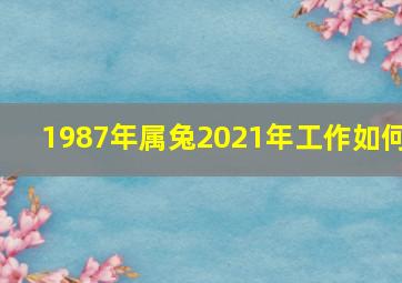 1987年属兔2021年工作如何