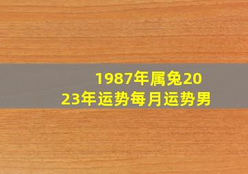 1987年属兔2023年运势每月运势男