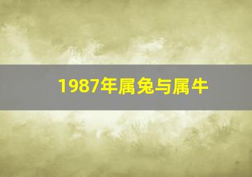 1987年属兔与属牛