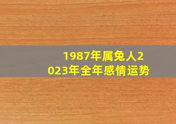 1987年属兔人2023年全年感情运势