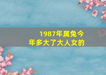 1987年属兔今年多大了大人女的