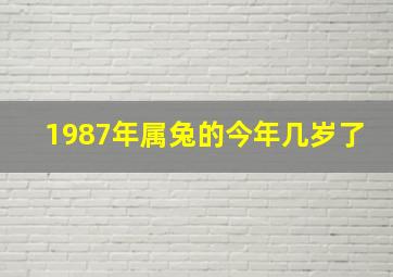 1987年属兔的今年几岁了