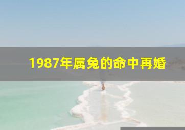 1987年属兔的命中再婚