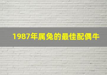 1987年属兔的最佳配偶牛