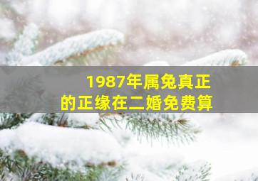 1987年属兔真正的正缘在二婚免费算