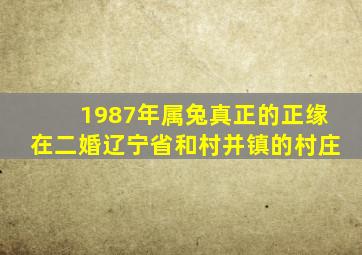 1987年属兔真正的正缘在二婚辽宁省和村并镇的村庄