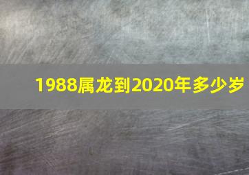 1988属龙到2020年多少岁