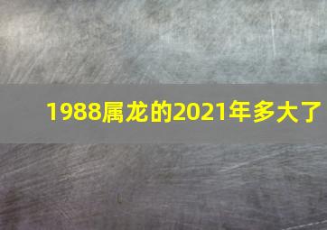 1988属龙的2021年多大了