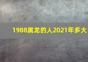 1988属龙的人2021年多大