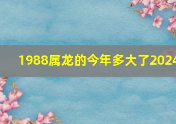 1988属龙的今年多大了2024