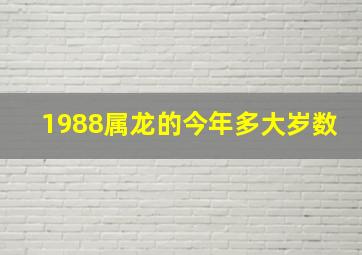 1988属龙的今年多大岁数