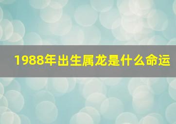 1988年出生属龙是什么命运