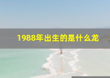 1988年出生的是什么龙