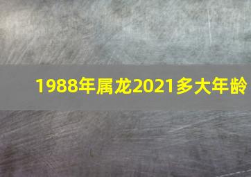 1988年属龙2021多大年龄