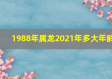 1988年属龙2021年多大年龄