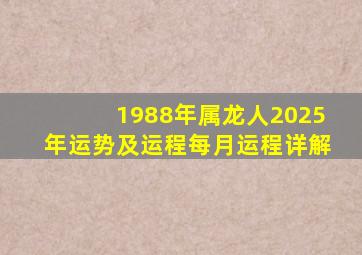 1988年属龙人2025年运势及运程每月运程详解