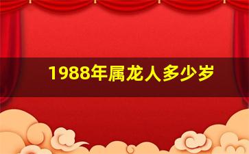 1988年属龙人多少岁