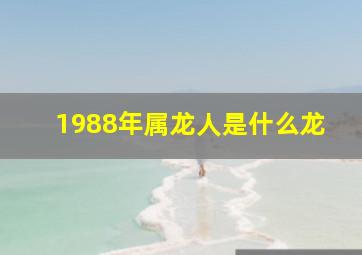 1988年属龙人是什么龙