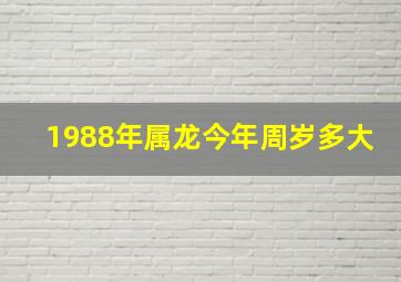 1988年属龙今年周岁多大