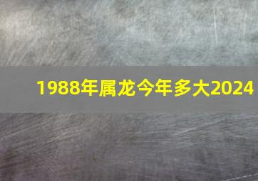 1988年属龙今年多大2024