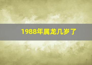 1988年属龙几岁了