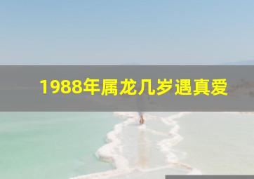 1988年属龙几岁遇真爱