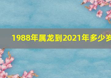 1988年属龙到2021年多少岁