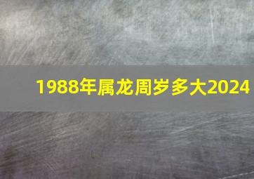 1988年属龙周岁多大2024