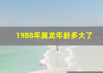 1988年属龙年龄多大了