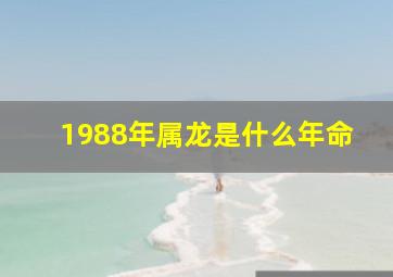 1988年属龙是什么年命