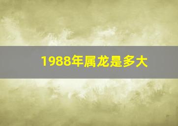 1988年属龙是多大