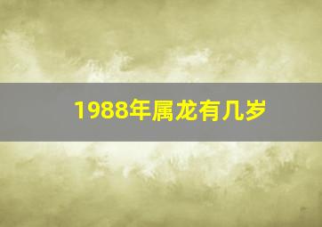 1988年属龙有几岁