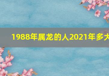 1988年属龙的人2021年多大