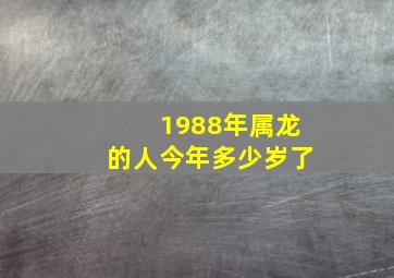 1988年属龙的人今年多少岁了