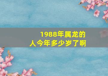 1988年属龙的人今年多少岁了啊