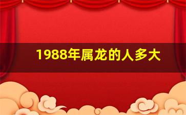 1988年属龙的人多大