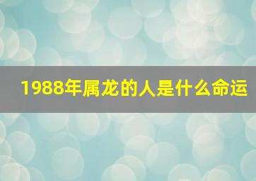 1988年属龙的人是什么命运