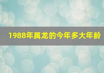 1988年属龙的今年多大年龄