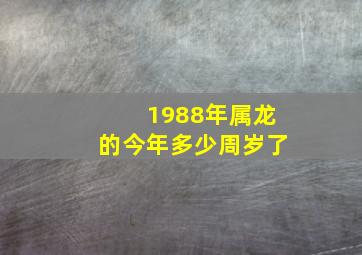 1988年属龙的今年多少周岁了