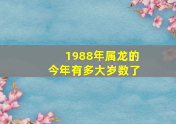 1988年属龙的今年有多大岁数了