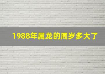 1988年属龙的周岁多大了