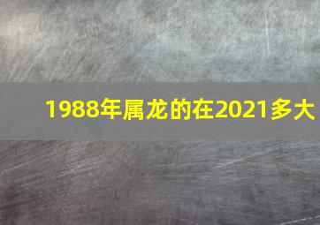 1988年属龙的在2021多大