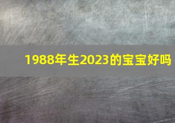 1988年生2023的宝宝好吗