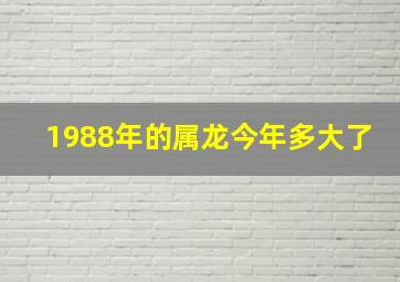 1988年的属龙今年多大了