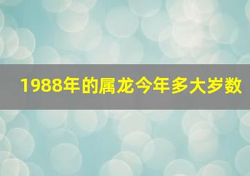 1988年的属龙今年多大岁数