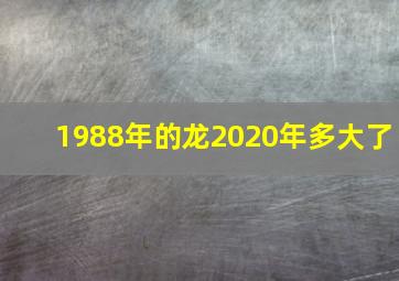 1988年的龙2020年多大了