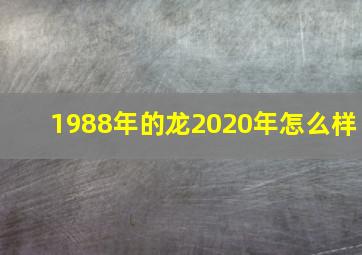 1988年的龙2020年怎么样